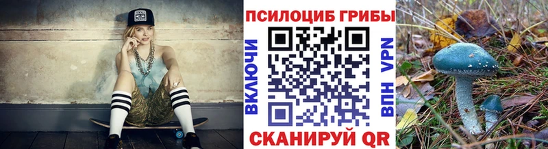 Галлюциногенные грибы мухоморы  omg сайт  Королёв  даркнет сайт 